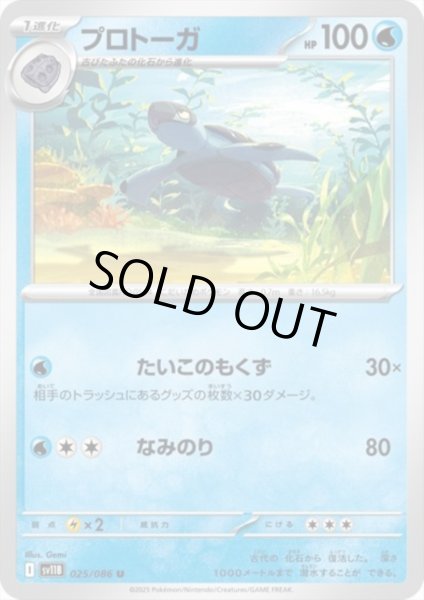 画像1: プロトーガ(たいこのもくず/なみのり) (1)