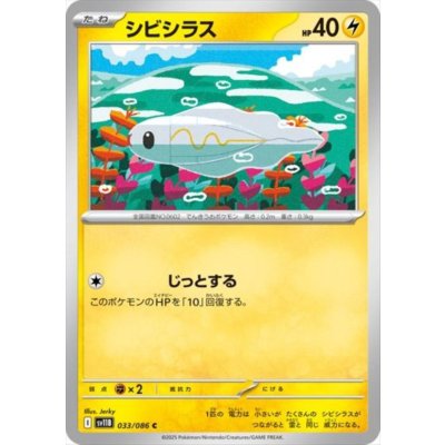 画像1: シビシラス(じっとする)