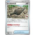 古びたはねの化石