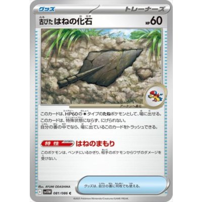画像1: 古びたはねの化石