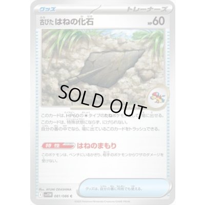 画像1: 古びたはねの化石