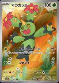 マラカッチ(093/086 AR)