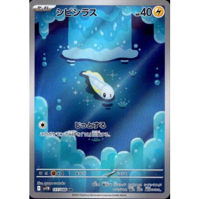 画像1: シビシラス(117/086 AR)