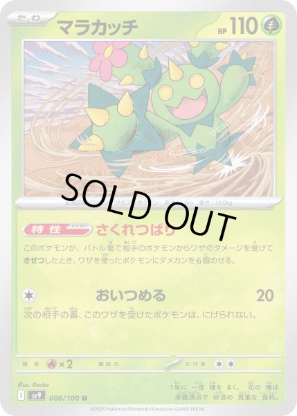 画像1: マラカッチ(006/100 U) (1)