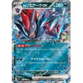 Nのゾロアークex(061/100 RR)