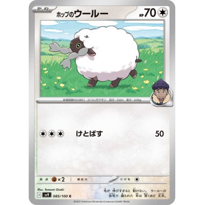 画像1: ホップのウールー(085/100 C)