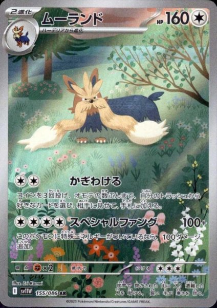 画像1: ムーランド(155/086 AR) (1)