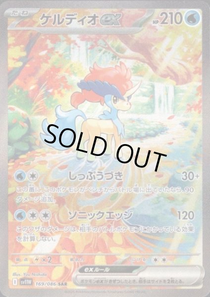 画像1: ケルディオex(169/086 SAR) (1)