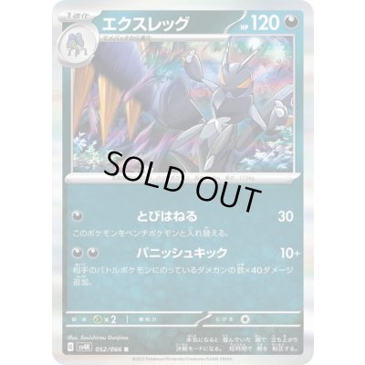 画像1: エクスレッグ(052/066 R)