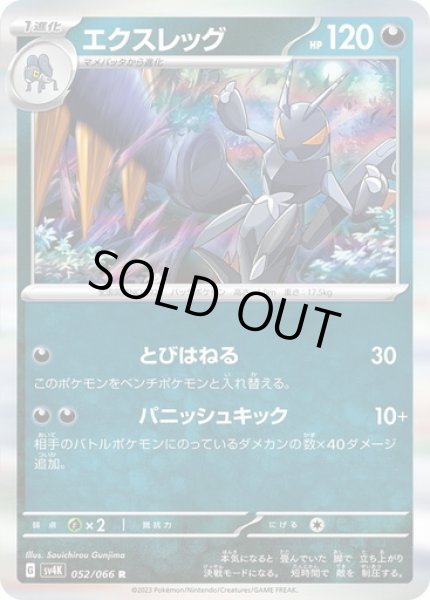 画像1: エクスレッグ(052/066 R) (1)