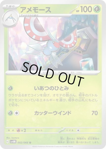 画像1: アメモース(002/066) (1)