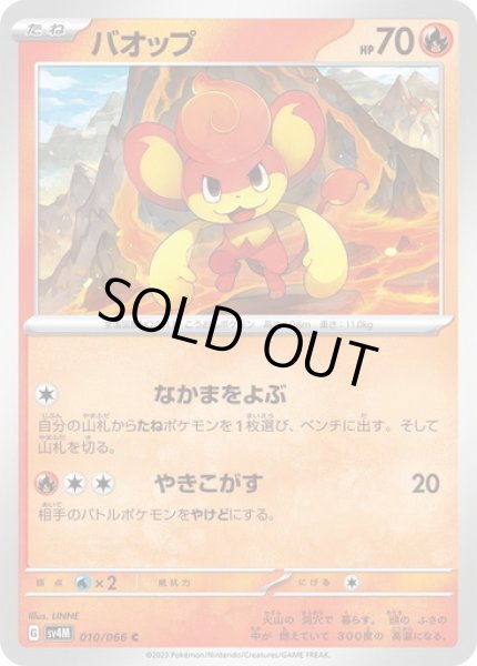 画像1: バオップ(010/066) (1)