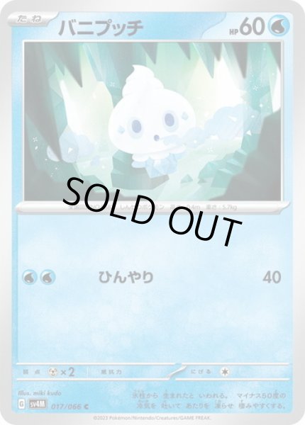 画像1: バニプッチ(017/066) (1)