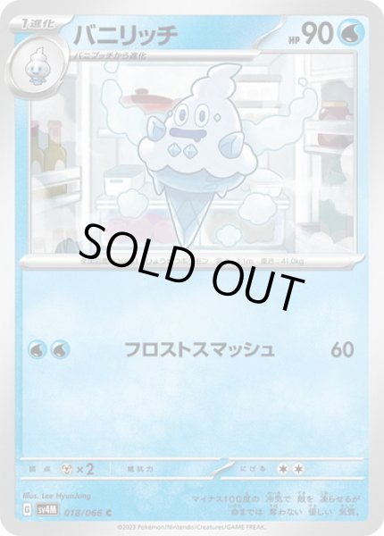 画像1: バニリッチ(018/066) (1)