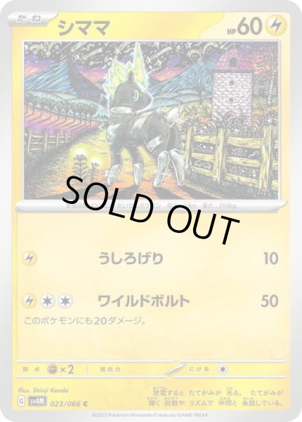 画像1: シママ(023/066) (1)