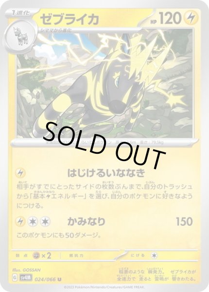 画像1: ゼブライカ(024/066) (1)