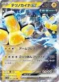 テツノカイナex(027/066 RR)