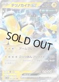 【状態B】テツノカイナex(027/066 RR)