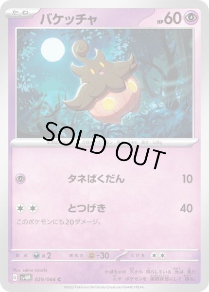 画像1: バケッチャ(029/066) (1)