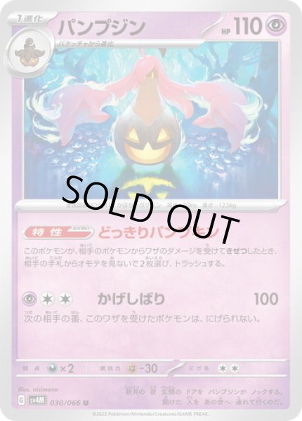 画像1: パナンプジン(030/066) (1)