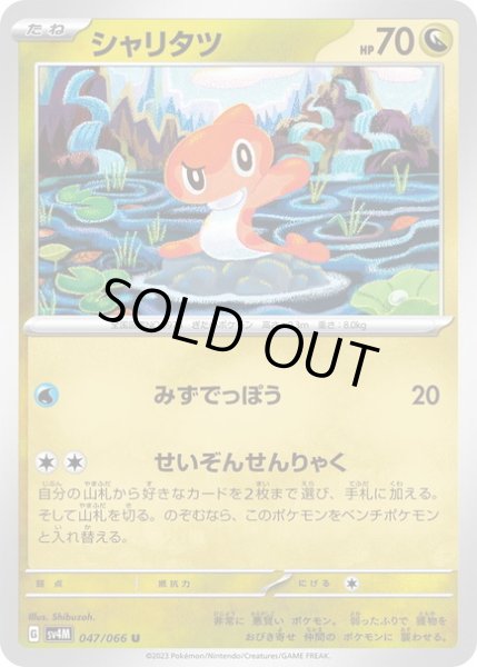 画像1: シャリタツ(047/066) (1)