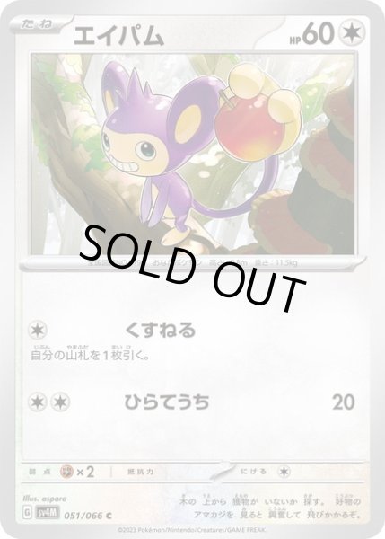 画像1: エイパム(051/066) (1)