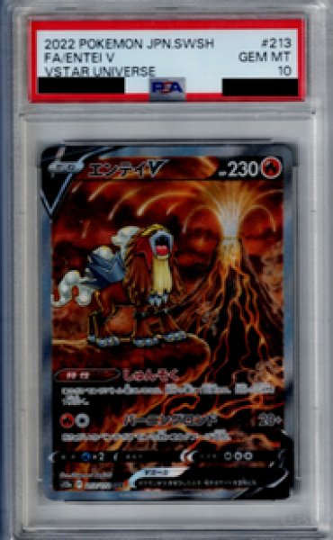 画像1: 【PSA10】エンテイV　213/172 SAR【2号店併売中/店頭で状態確認可能！】 (1)