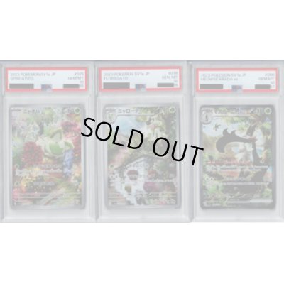 画像1: 【PSA10】3連番セット　ニャオハ＆ニャローテ＆マスカーニャ SA＆SAR【2号店併売中/店頭で状態確認可能！】