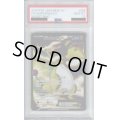 【PSA10】デンリュウEX 085/081【2号店併売中/店頭で状態確認可能！】