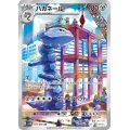 【状態B】ハガネール(074/066 AR)