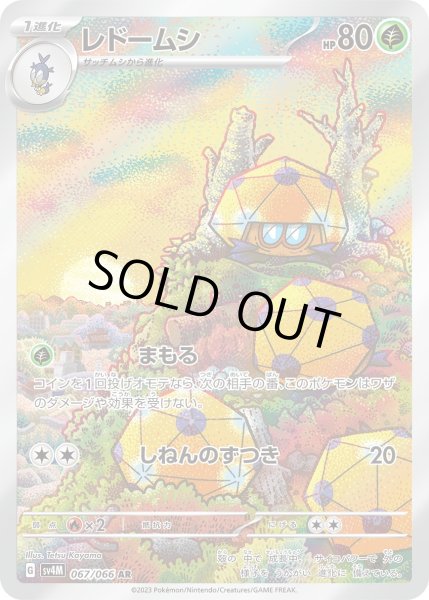 画像1: レドームシ(067/066 AR) (1)