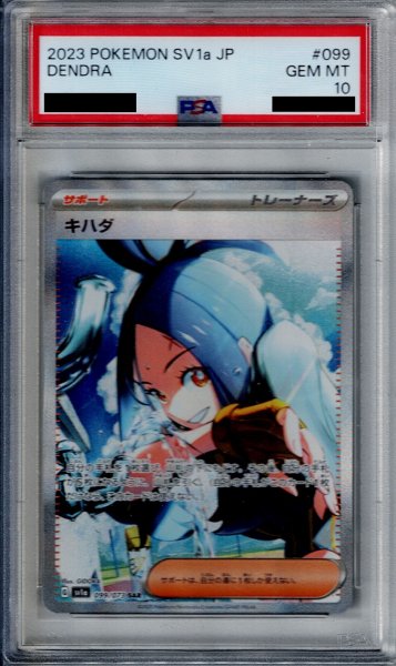 画像1: 【PSA10】キハダ　099/073　SAR【2号店併売中/店頭で状態確認可能！】 (1)