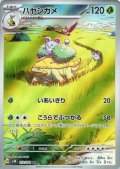 ハヤシガメ(072/071 AR)