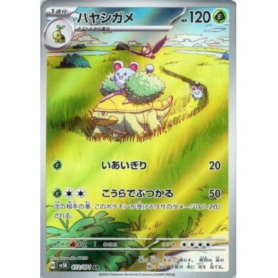 画像1: ハヤシガメ(072/071 AR)