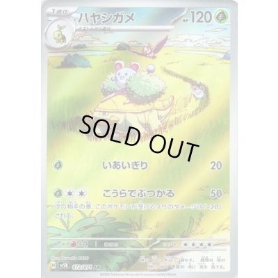 画像1: ハヤシガメ(072/071 AR)