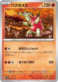 バクガメス(003/053)