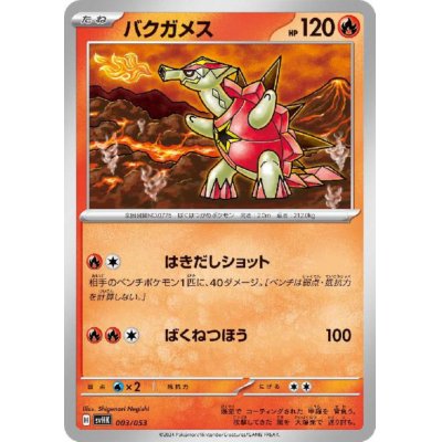 画像1: バクガメス(003/053)