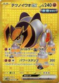 テツノイワオex(100/071 UR)