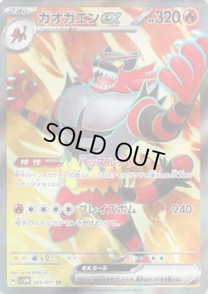 画像1: ガオガエンex(085/071 SR) (1)