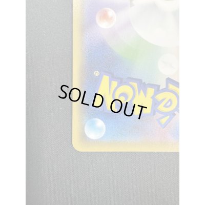 画像10: 【状態B】ミミッキュVMAX(234/184 CSR)