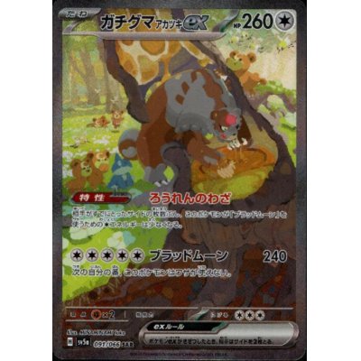 画像1: ガチグマ アカツキex(091/066 SAR)