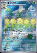 【状態B】キマワリ(102/101 AR)
