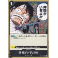 仲間がいる゛よ!!!!(C)(ST14-016)