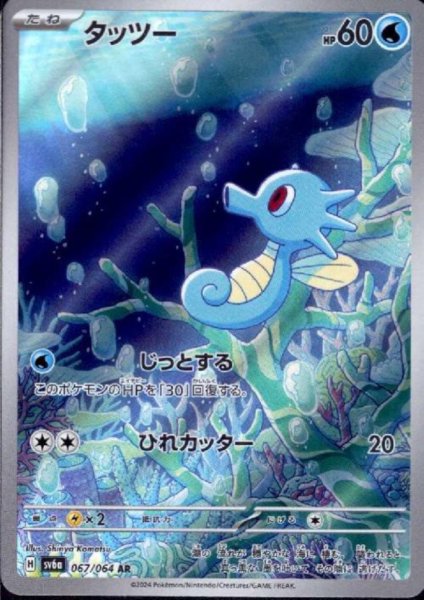 画像1: タッツー(067/064 AR) (1)