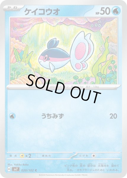 画像1: ケイコウオ(020/102 C) (1)