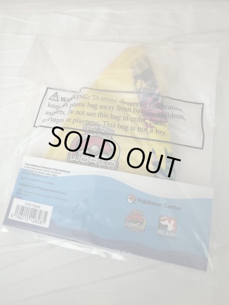 画像2: WCS2024 ホノルル　ビーチボール (2)