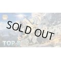 【海外プレイマット】ネクロズマたそがれのすがた TOP8
