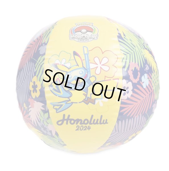 画像1: WCS2024 ホノルル　ビーチボール (1)