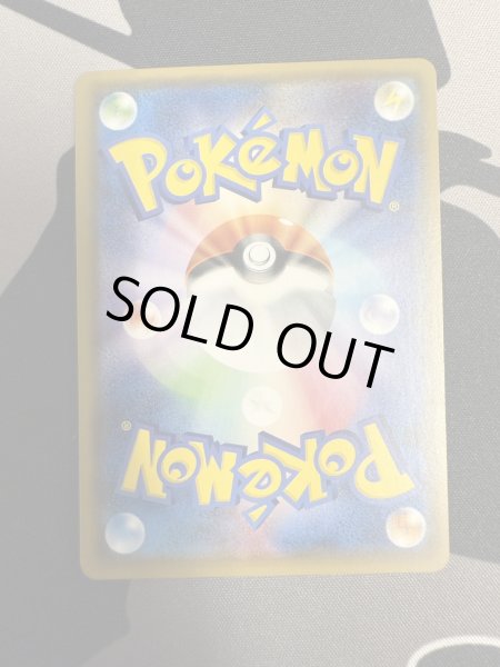 画像3: 【状態B】ポンチョを着たイーブイ(ブラッキー)(141/SM-P) (3)