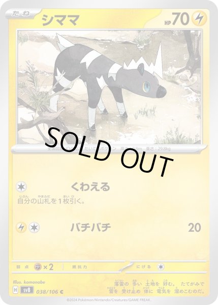 画像1: シママ(C)(038/106) (1)